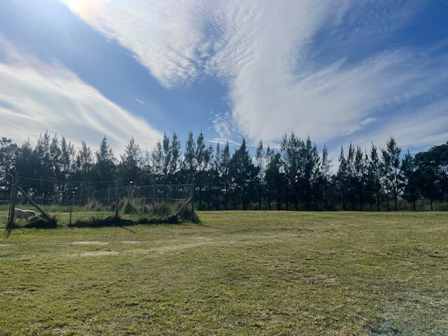 3 Bedroom Property for Sale in Summerpride Eastern Cape